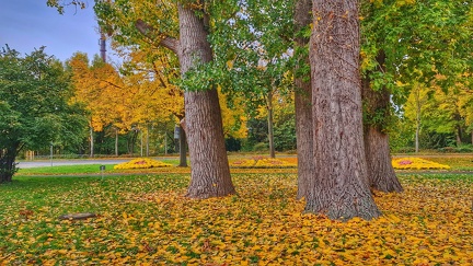 Herbstlich