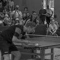 DSC 7291
