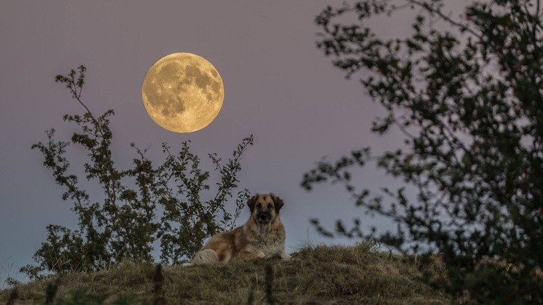 Mond mit Akina.jpg