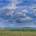 Der Elm 