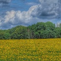 Blick vom alten Betonwerk zwischen Erkerode und Hemkenrode