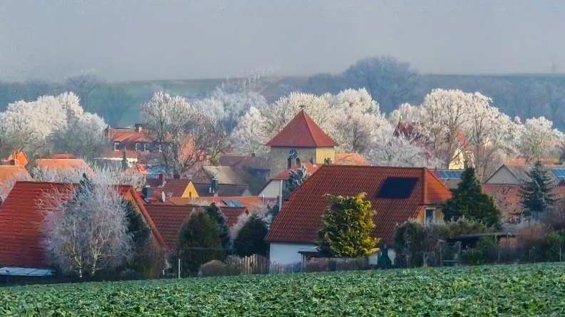 20250119_134429.jpg
