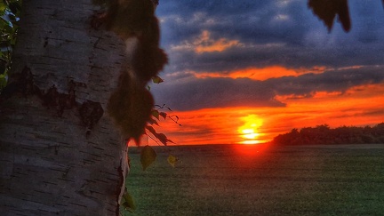 Abendsonne 