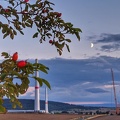 Mond im Windpark Ahlum 