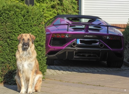 KI Lamborghini
