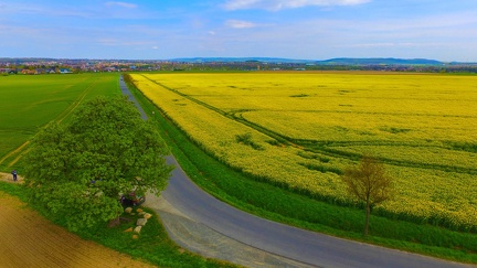 Wolfenbüttel-Rapsfeld