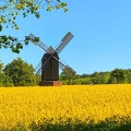 Windmühle Abbenrode