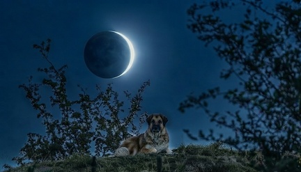 Sonnenfinsternis mit Akina